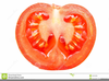 Tomato Slice Clipart Image