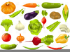 Clipart Of Vegetable Gardens Image