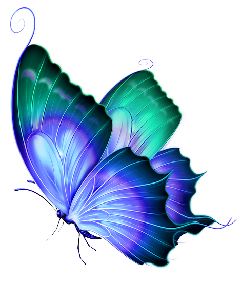 free butterfly clipart png - photo #16