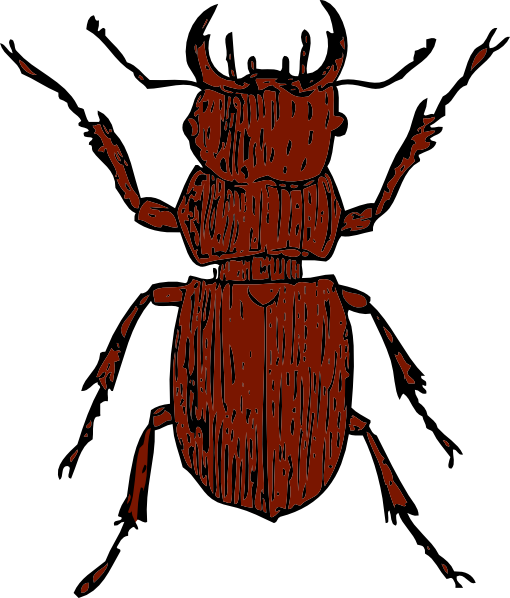 clipart beetle - photo #27