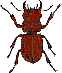 Stag Beetle Clip Art
