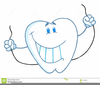 Animated Tooth Clipart Image