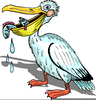 Pelican Cartoons Clipart Image