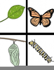 Lessons Clipart Image
