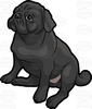 Black Pug Clipart Image