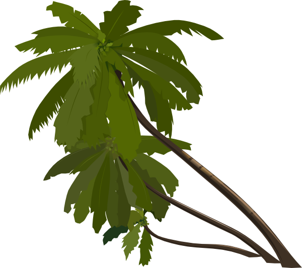 Three Palm Trees clip art