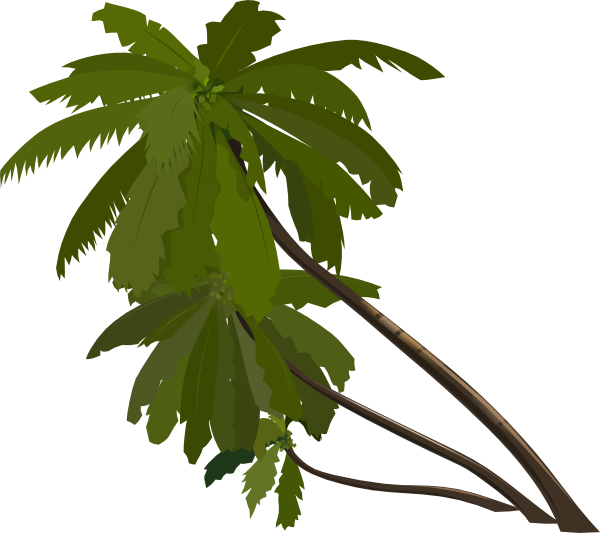 clipart jungle tree - photo #18