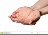 Hands Cupped Clipart Image