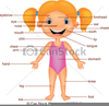 Free Body Part Clipart Image