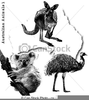 Free Emu Clipart Image