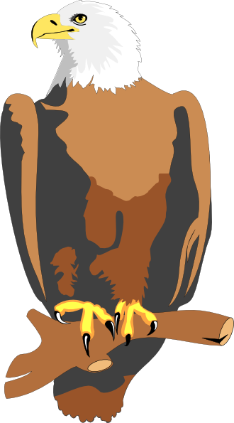 free animated eagle clip art - photo #29