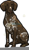 German Shorthaired Pointer Clipart Image