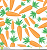 Free Clipart Of Carrots Image