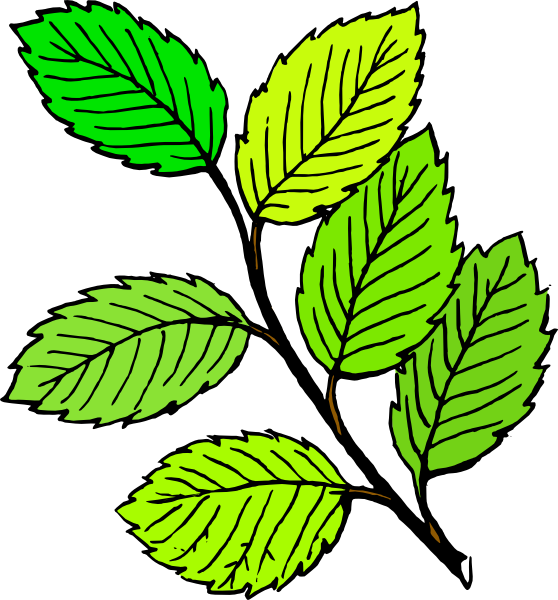 clipart leaf free - photo #26