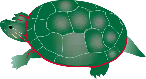 free turtle clipart pictures - photo #27