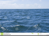 Deep Ocean Clipart Image