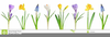 Flower Row Clipart Image