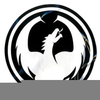 Dragon Optics Logo Image