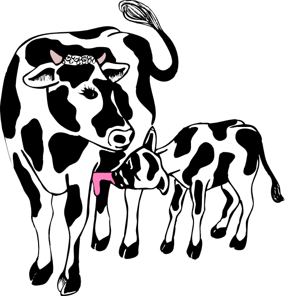 cow clipart black and white - photo #45