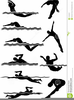 Clipart Picture Of Swimmer Image