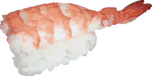 Ebi Nigiri Sushi Clip Art at Clker.com - vector clip art online