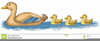 Duck With Ducklings Clipart Image
