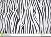 Black White Tiger Clipart Image