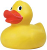 Duck Image