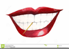 Toothpick Clipart Image