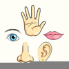Closed Eye Clipart Image