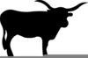 Free Texas Longhorn Clipart Image