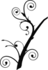 Branch Image