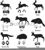 Free Animal Tracks Clipart Image