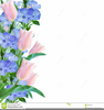 Free Tulip Clipart Borders Image