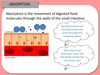 Food Being Digested Image