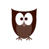 Owl Shape Image