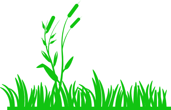 clipart green grass - photo #33