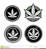 Marijuana Pictures And Clipart Image