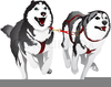 Sled Dog Race Clipart Image