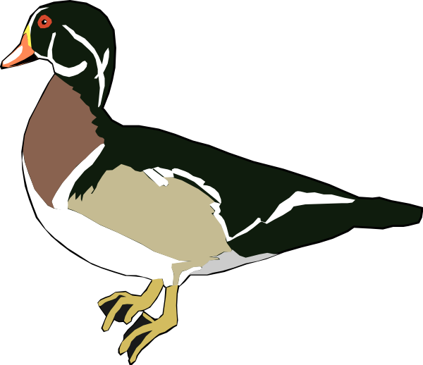 green duck clipart - photo #17