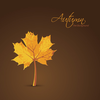 Autumn Tree Background Image