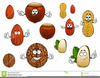 Walnut Clipart Characters Image