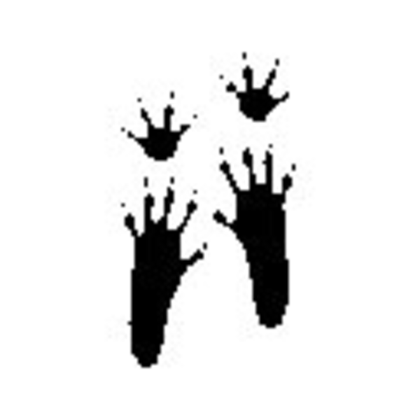 mouse footprint clipart - photo #1