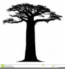 Free Clipart Baobab Tree Image