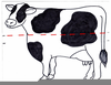 Clipart Cow Free Image