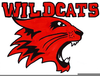 Wildcat Clipart Image