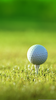 Golf Backgrounds And Clipart Image