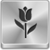 Tulip Icon Image