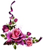 Free Clipart And Rose Image