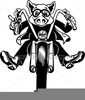 Pig On A Motorcycle Clipart Image